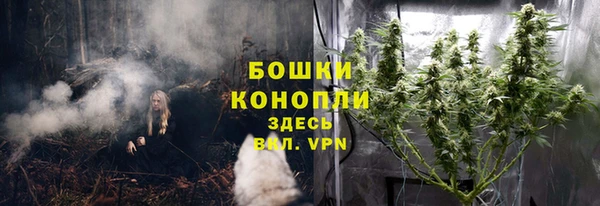 трава Алзамай