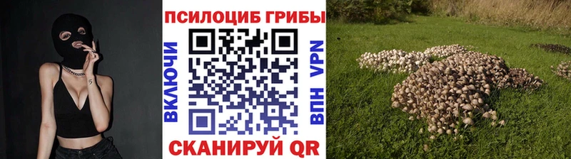 где можно купить наркотик  гидра ссылка  Псилоцибиновые грибы Cubensis  Бакал 